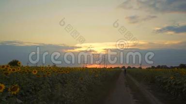 那人正走在穿过田野的路上，夕阳的背景上有向日葵